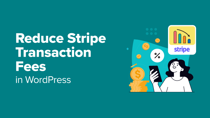Reduce Stripe Transaction Fees in WordPress Reduce Stripe Transaction Fees in WordPress